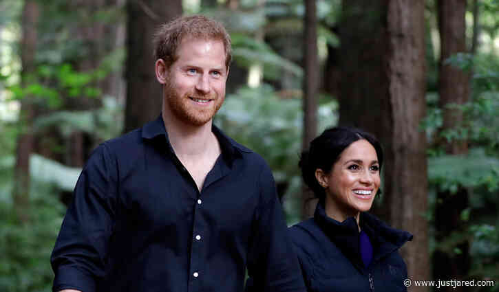 15 Surprising Things We Learned About Prince Harry & Meghan Markle in His New Docu-Series
