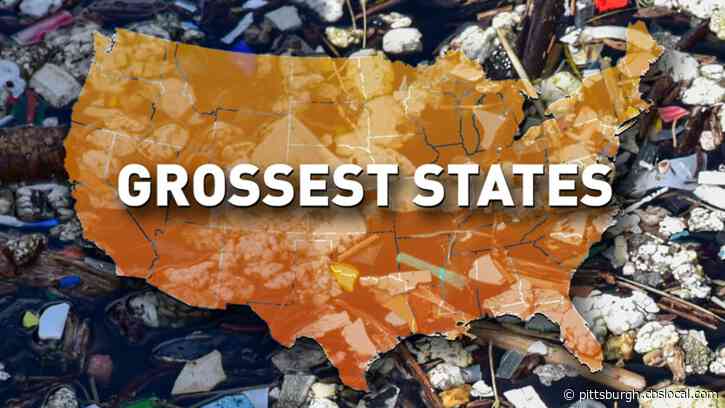 Study Ranks Pennsylvania As The 4th Grossest State In The U.S.