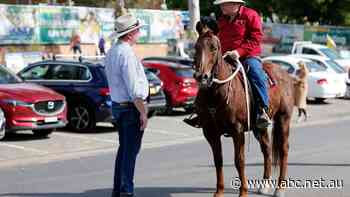 Live: Voting in critical Upper Hunter by-election draws to a close