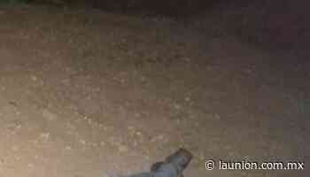 Asesinado a tiros en la colonia Nueva Santa María, en Cuernavaca - Unión de Morelos