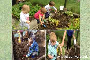 Wrexham nursery children get green fingers when learning about food cycle - LeaderLive
