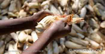 Opinion: Why reinvent the wheel on food security and nutrition? - Devex