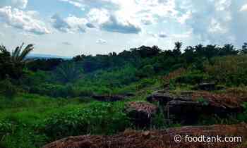 UN Food Systems Champions on Scaling Agroecology – Food Tank - Food Tank