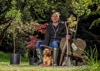 Pet food firm pledges to plant a million trees to become the UK’s greenest - Harrogate Advertiser