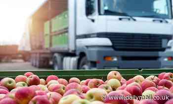 Food prices could rise due to shortage of lorry drivers - Daily Mail