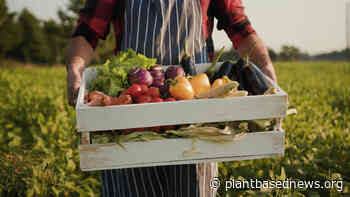 What Is Organic Food? And Is It Really Worth The Price? - Plant Based News
