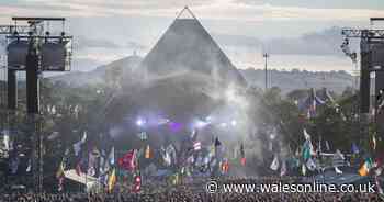 Sample legendary festival flavours at home with Glastonbelly food box - Wales Online