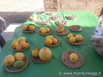 Celebrata anche a Manduria la Giornata della Biodiversità 2021 - ManduriaOggi