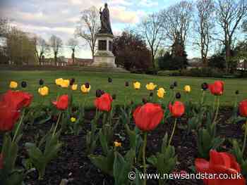 Carlisle food event to go ahead in Bitts Park | News and Star - News & Star