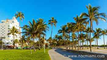 Sunny Yet Windy Weather Ahead as Rain Chances Remain Low in South Florida