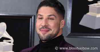 Brendan Schaub claims he and Dillon Danis knew Jake Paul planned to crash interview - Bloody Elbow