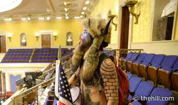 'QAnon Shaman' attorney is 'advocate' with 'big mouth'