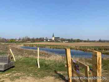Hond Bob opent losloopweide in Kessenich - Het Nieuwsblad