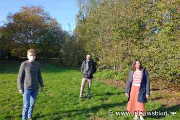 Schepencollege volgt GECORO en weigert vergunning woonproject Schaliëndak - Het Nieuwsblad