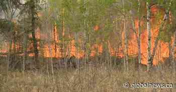 Dry spring can create wildfire trouble for Western Canada: experts