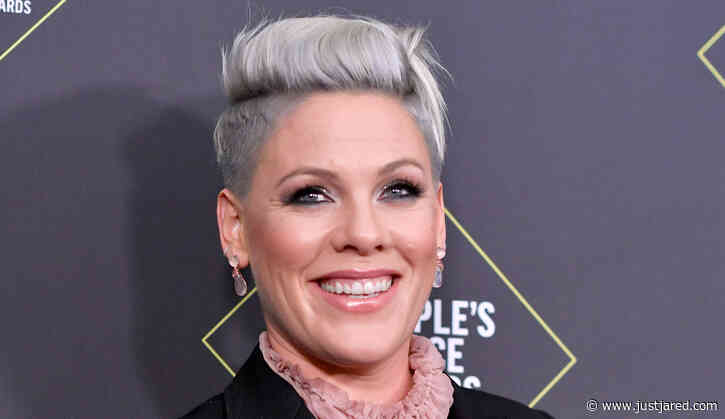 Pink Says Her First Girlfriend Left Her for... Her Brother