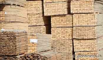 Forest product prices show continued strength, industry analysts report