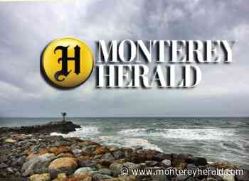 Bruno in the NCAA softball tournament - Monterey Herald