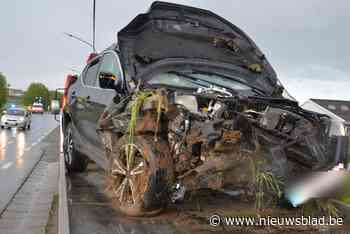 Auto maait bushok weg