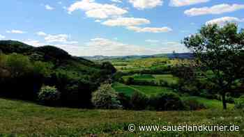 Digitale Podiumsdiskussion zum geplanten Vogelschutzgebiet Hoppecke-Diemeltal - sauerlandkurier.de