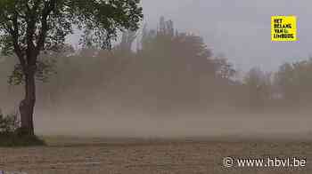 Wind en droogte veroorzaken zandstormen in Noord-Limburg - Het Belang van Limburg