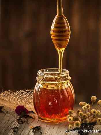Sortez, c’est l’été ! : Le miel & les abeilles Villegaunois jeudi 1 juillet 2021 - Unidivers