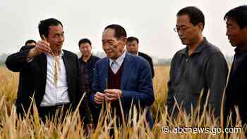 China's Yuan Longping dies; rice research helped feed world