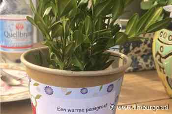 Parochies Schin op Geul en Oud-Valkenburg bezorgen palmtakjes aan huis als teken van verbondenheid in coronati - De Limburger