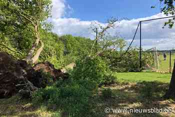 Bomen vernielen voetbaldoel