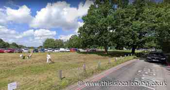 Do Epping Forest Conservatives support forest parking charges?