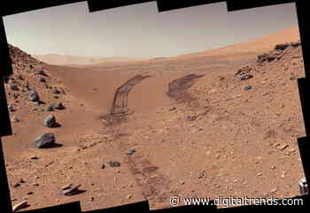 Detecting organic salts on Mars is key to finding evidence of life there