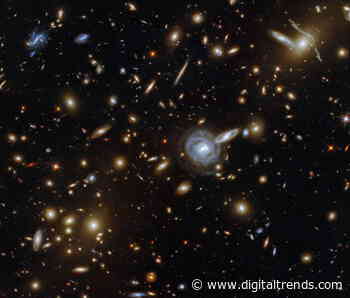 See a glittering gang of galaxies in this week’s Hubble image
