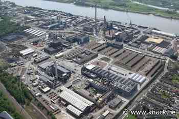 Vervuiling bij Umicore in Hoboken erger dan gedacht: de kinderen van de rekening - Knack.be