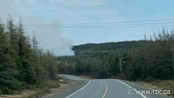 Fire crews enter 2nd day of fighting forest fire near Buchans - CBC.ca