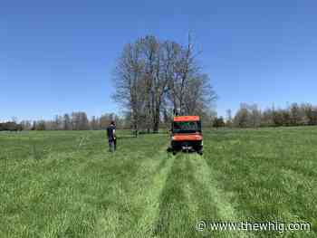New forest to grow as part of Amherst Island rewilding project - The Kingston Whig-Standard
