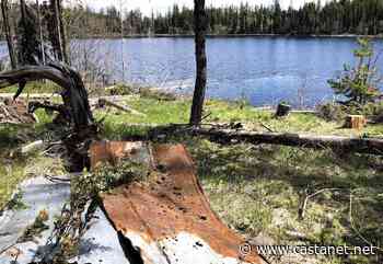 Staff managing BC's forest rec sites overwhelmed, planning falling by wayside - BC News - Castanet.net