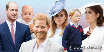 How the recent royal baby boom affects the British line of succession
