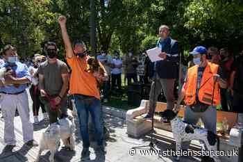 Dog owners protest against mandatory sterilisation plan - St Helens Star