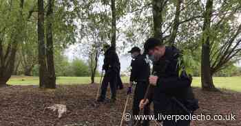 Arrests made, knives found and cannabis farm discovered in St Helens - Liverpool Echo