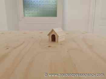 From Venice: Is Architecture Possible According To The United States? It is only made of wood - Prudent Press Agency