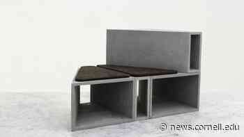 Architecture, art, revolution: 8 questions for Stella Betts | Cornell Chronicle - Cornell Chronicle