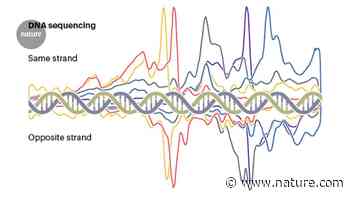 Protein architecture of the yeast genome - Nature.com