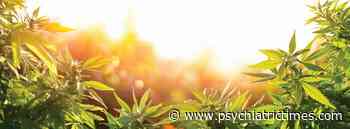 Medical Marijuana for Autism - Psychiatric Times