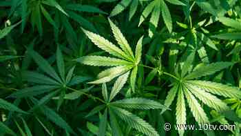 3 existing conditions approved for Ohio medical marijuana - 10TV