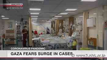 Fears of surge in Gaza coronavirus cases - NHK WORLD