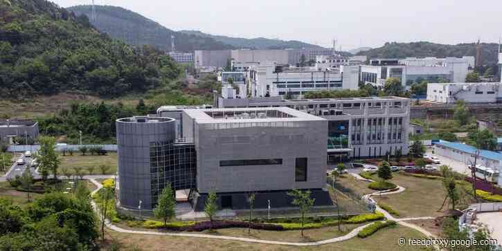 3 Wuhan lab workers were sick enough to be hospitalized in November 2019, triggering calls to reconsider theory that COVID-19 originated in a lab: WSJ