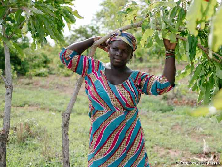 Search engine Ecosia plants trees in exchange for searches. It uses pay-per-click ads to fund projects that positively impact both people and nature.