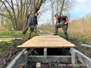 Vlonderpad in de Molenbeemd van Membruggen volledig vernieu... (Riemst) - Het Nieuwsblad