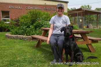 Petco Love grant gives shelter opportunity to have medical director - Huntington Herald Dispatch