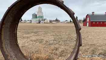 'We'd try to get a feel for the town': Pandemic project takes couple on a journey, but never far from home